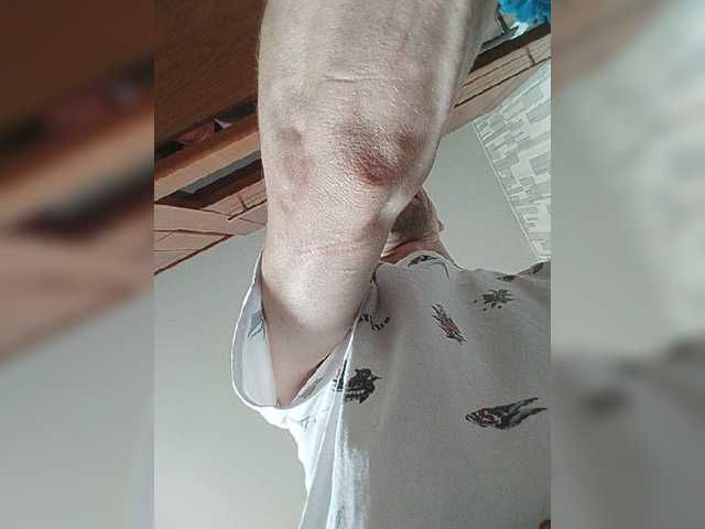 Falos39
