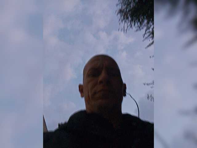 Falos39