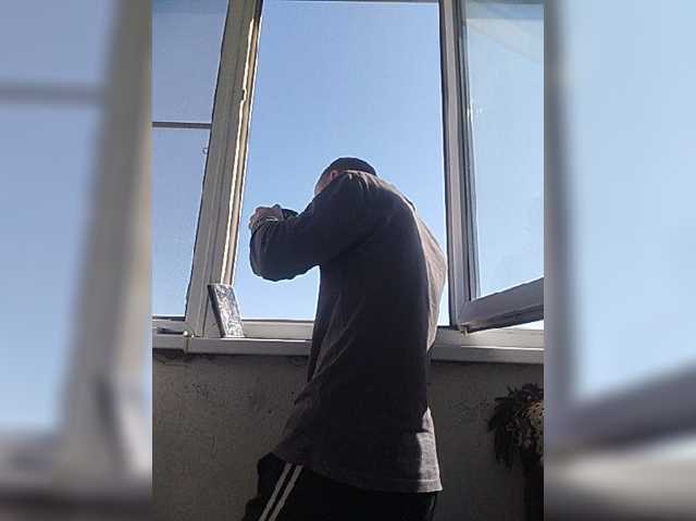 Falos39
