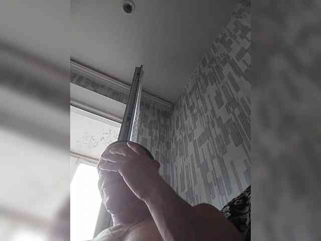 Falos39