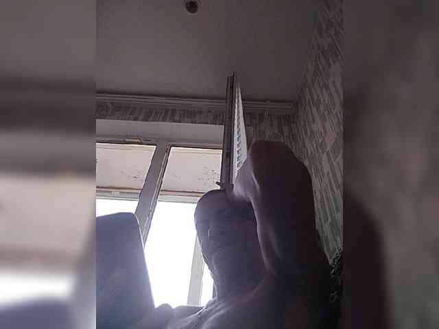 Falos39