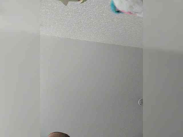 Falos39 Sex Cam Show