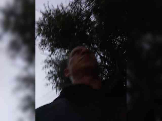 Super_chlen