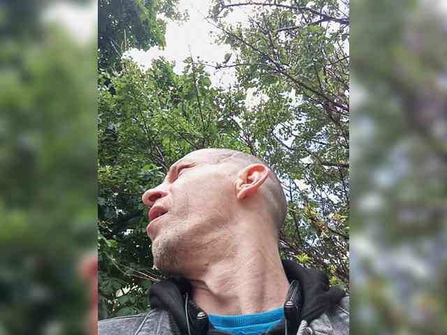 Falos39