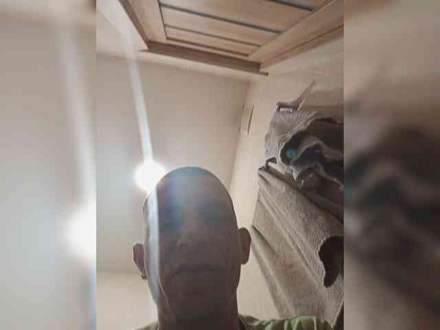 Falos39