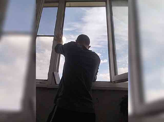 Falos39