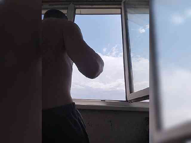 Falos39