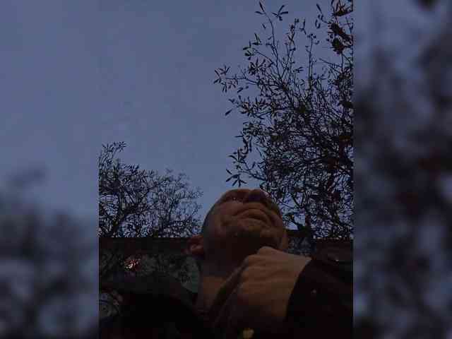 Super_chlen