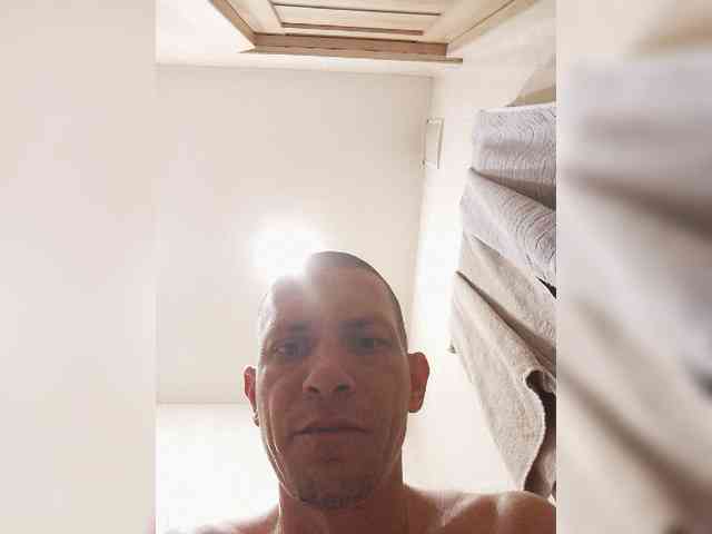 Falos39 Falos39