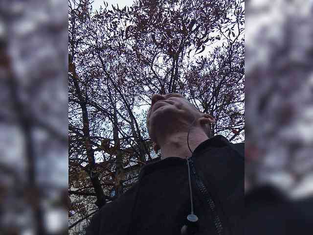 Super_chlen
