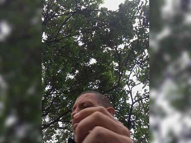 Falos39