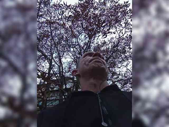 Super_chlen