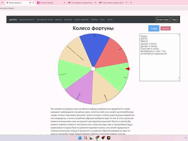 -KrissX- webcam