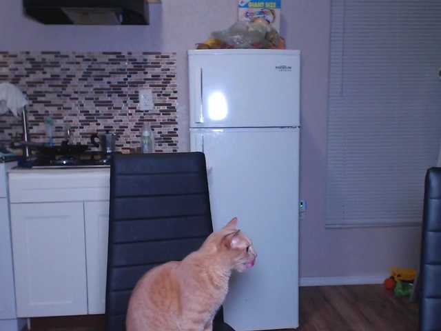 KattyCrawford