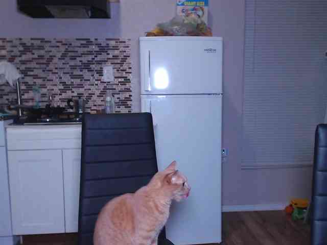 KattyCrawford webcam