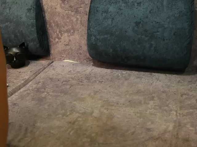 blackcat142 live cam on BongaCams