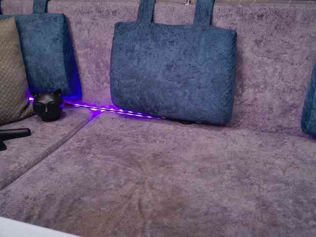 BlackCat142 webcam