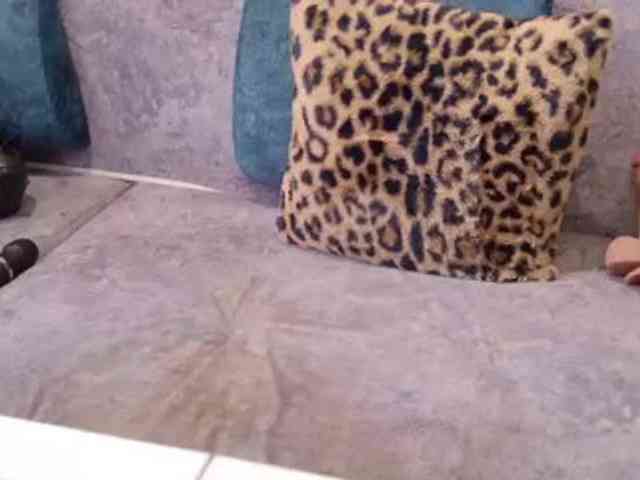 BlackCat142 webcam