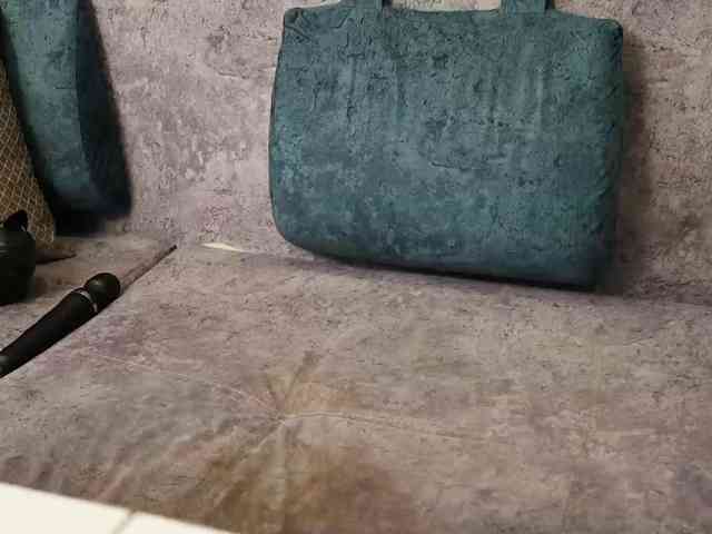 BlackCat142 webcam