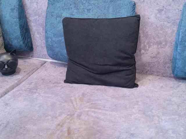BlackCat142 webcam
