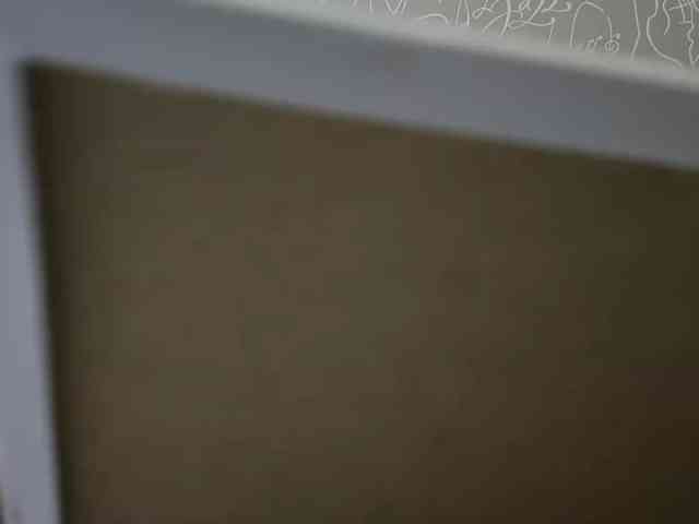 BlackCat142 webcam