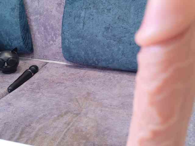BlackCat142 webcam