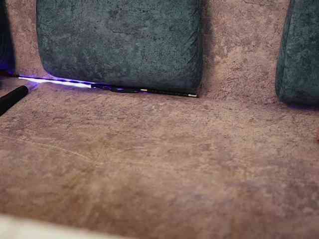BlackCat142 webcam