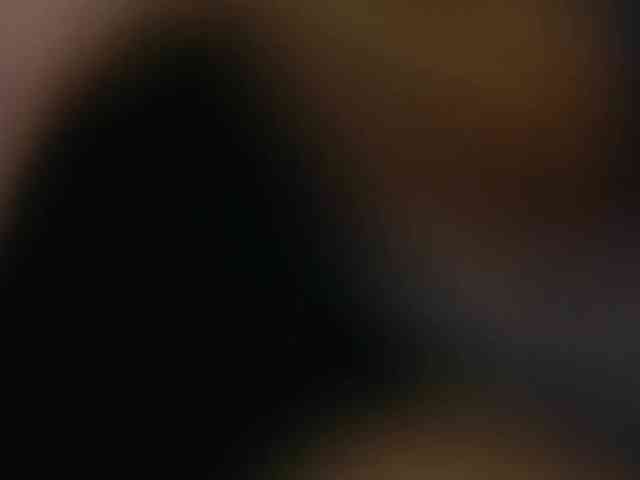 BlackCat142 webcam