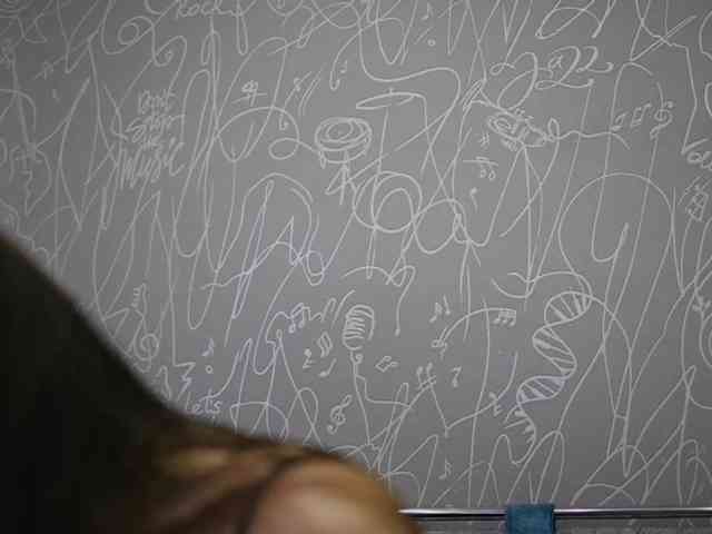 BlackCat142 webcam