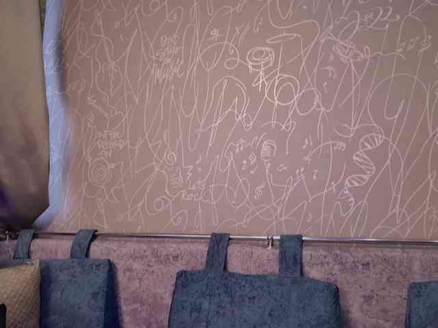 BlackCat142 webcam