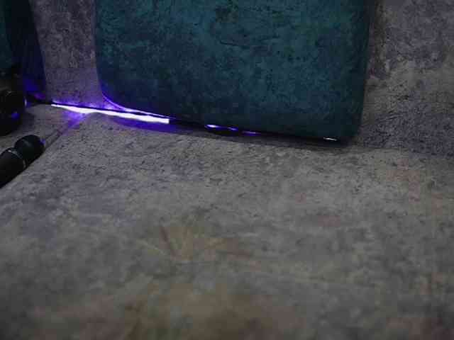 BlackCat142 webcam