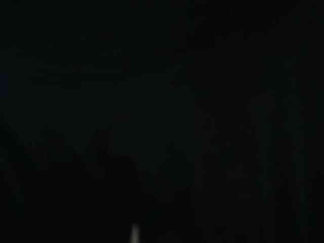 BlackCat142 webcam