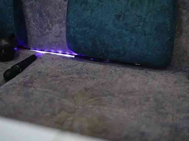 BlackCat142 webcam