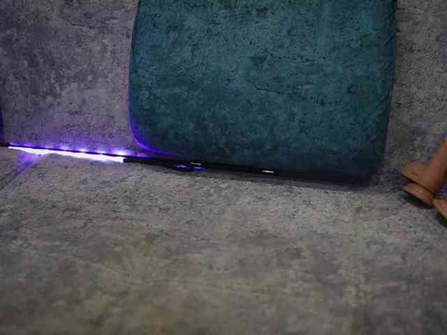 BlackCat142 webcam
