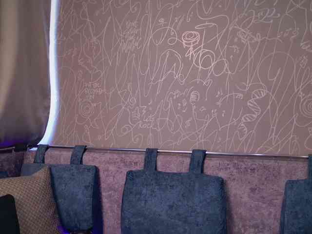 BlackCat142 webcam