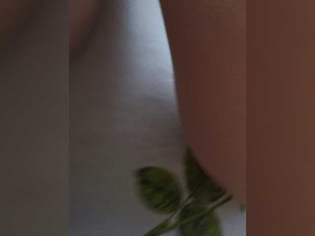 qqwerfa