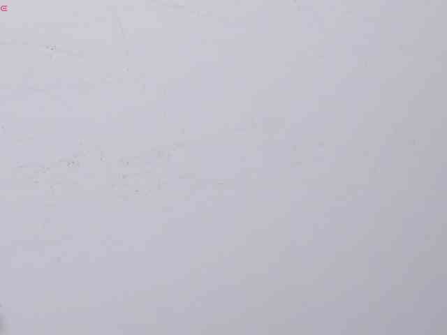 Susan-sweet webcam