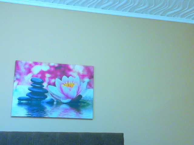 Salome8888 live cam on BongaCams