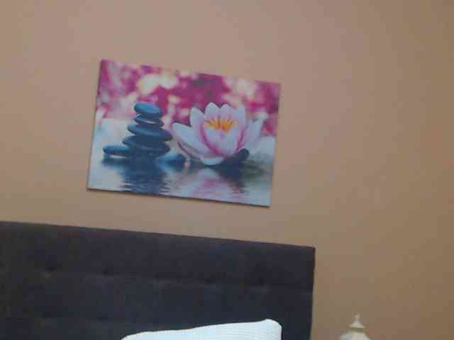 Maya_Banks webcam