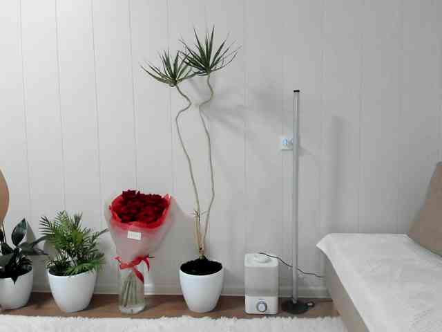 Kiza9 webcam