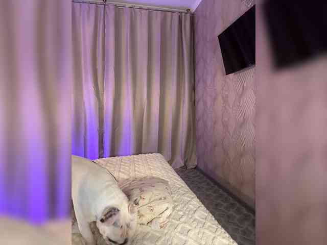 -SAHAROCHEK- webcam