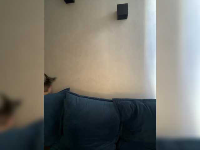 WILDGIRL live cam on BongaCams