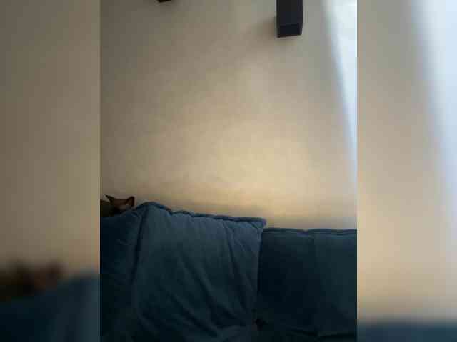 WILDGIRL webcam