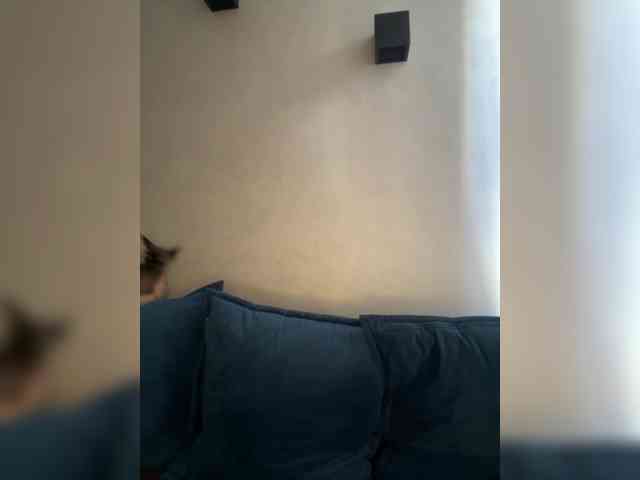 WILDGIRL webcam