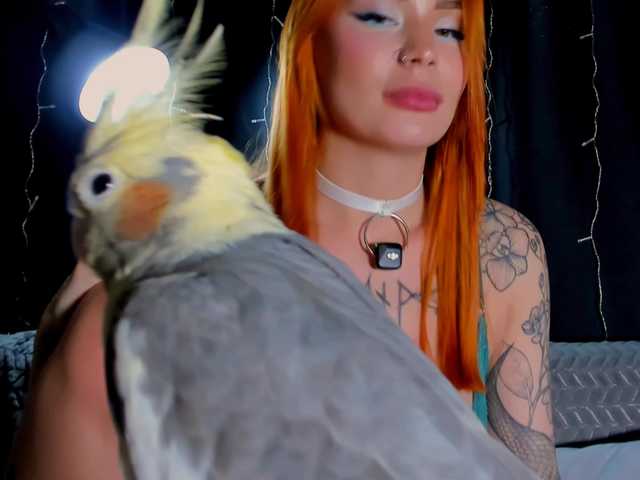 Sex chat gratuit in direct cu Lex1-Lee pe BongaCams