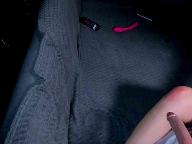 Lex1-Lee webcam