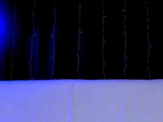 Lex1-Lee webcam