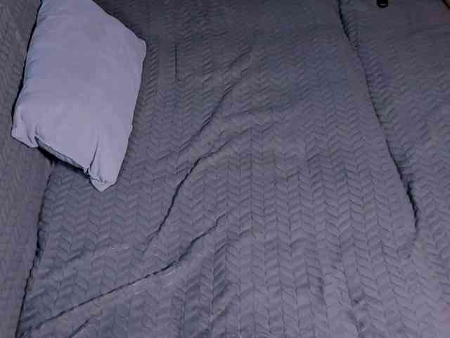 Lex1-Lee webcam