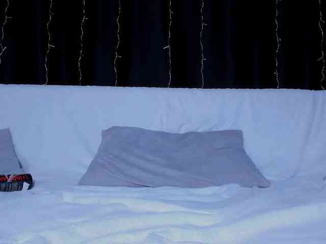 Lex1-Lee webcam