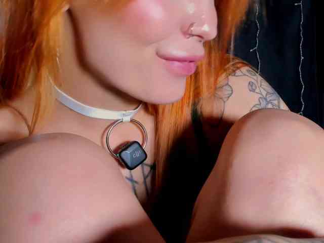 Lex1-Lee webcam